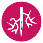Vascular Assessment